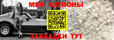 индика Гатчина