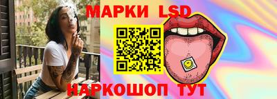 индика Гатчина