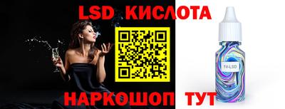 индика Гатчина