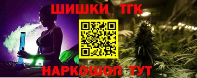 индика Гатчина