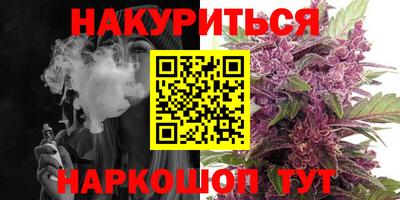 индика Гатчина