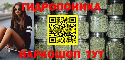 индика Гатчина