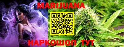 индика Гатчина