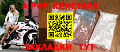 индика Гатчина