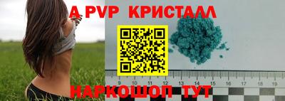 индика Гатчина