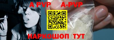 индика Гатчина