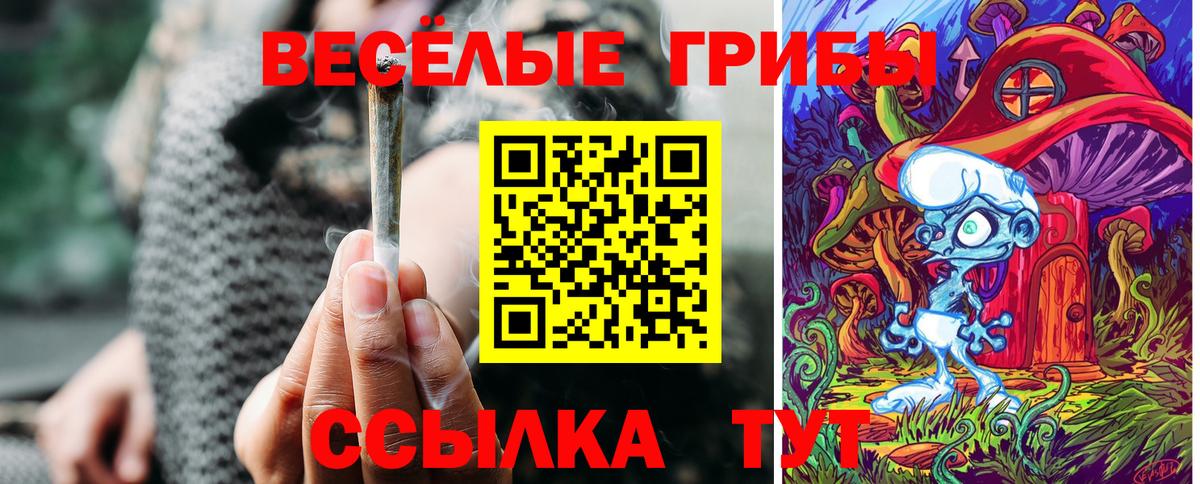 Заинск  Псилоцибиновые грибы Magic Shrooms  что такое наркотик  Псилоцибиновые грибы Psilocybe  Вход с VPN 