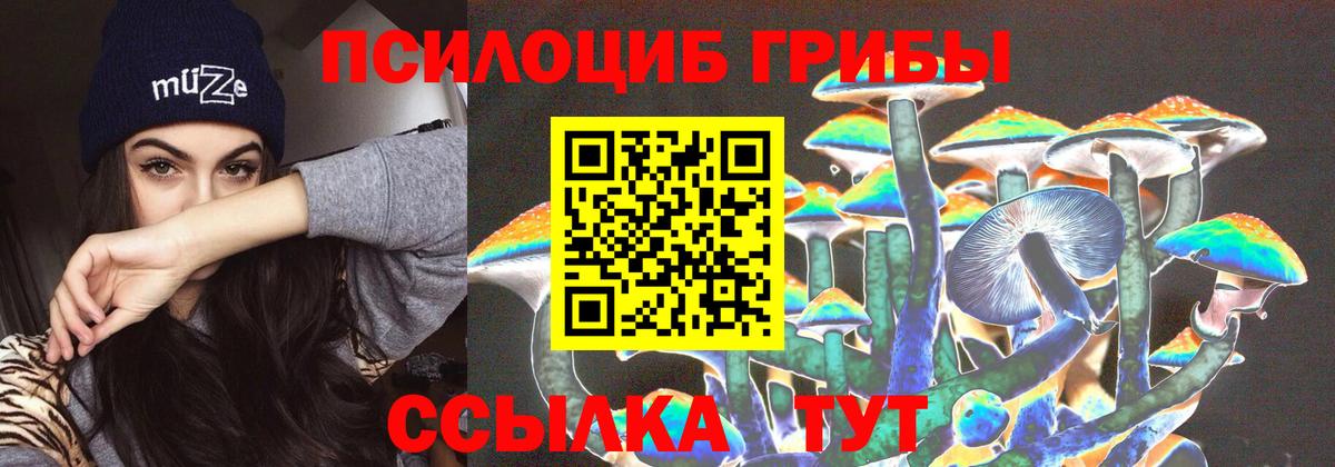 Псилоцибиновые грибы Magic Shrooms Заинск